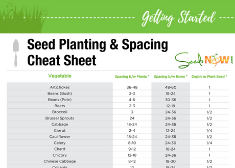 PRINTABLE! Seed Planting & Spacing Cheat Sheet