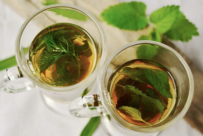 Popular Medicinal Herbs for Tea Making β