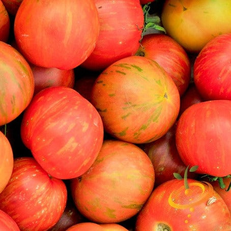 Buy Tigerella tomato seeds online in the USA! | Red-orange streaks!