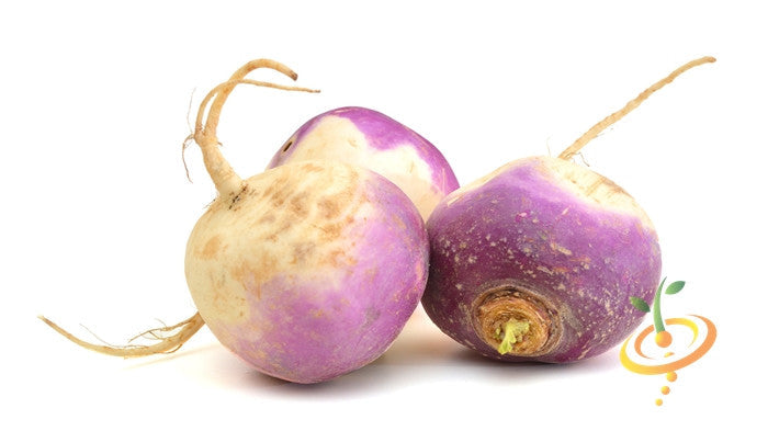 Purple top white globe turnips with smooth round roots and fresh crisp white flesh on a white background