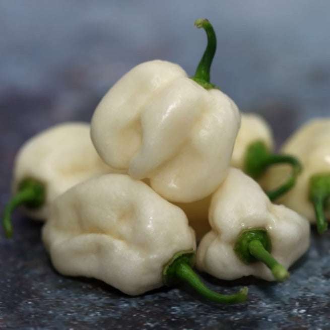 Close-up of white habanero peppers from the world's hottest peppers variety pack on a dark surface