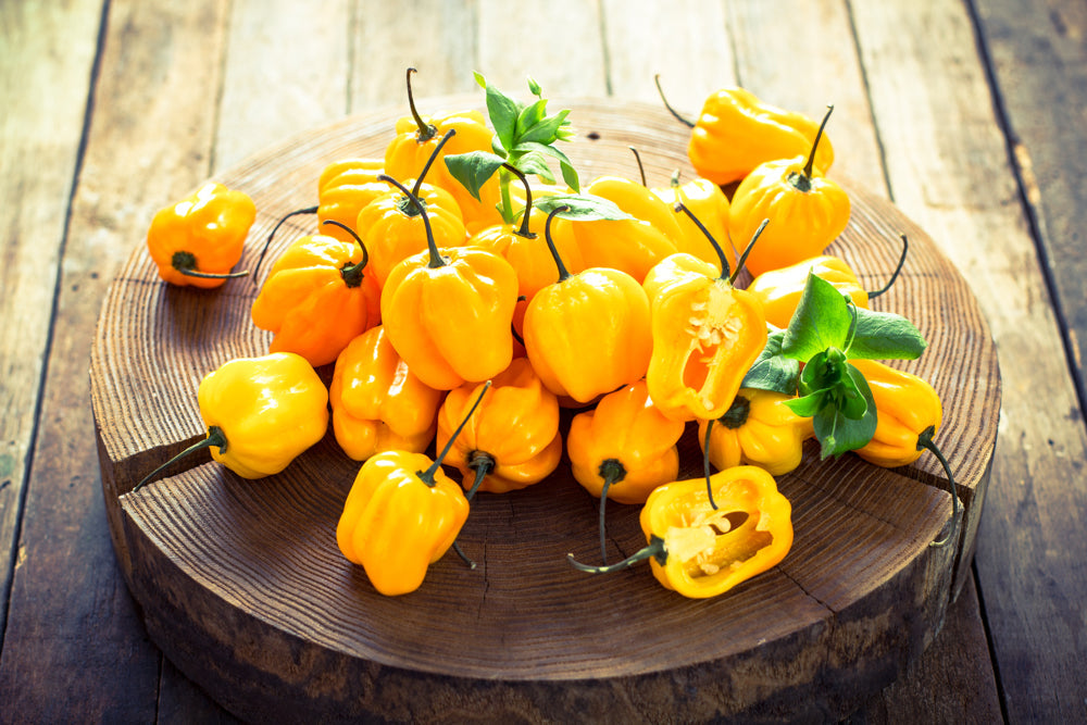 Yellow Scotch Bonnet peppers, worldβs hottest peppers, on wooden plate with green leaves