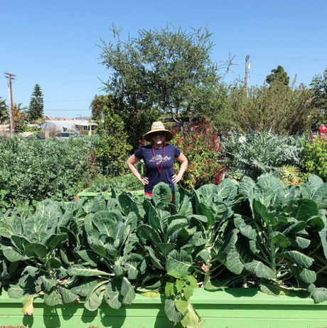 Meet @HoneyGirlGrows! Beekeeper & Garden Designer