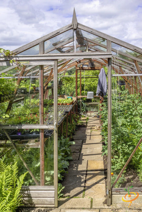 Tips for Growing More in a Greenhouse 🪴