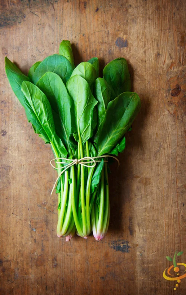 All Spinach Seeds