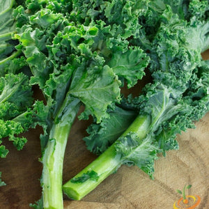 *FREE* All-in-1 Kale Greens Seed Kit