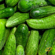 Cucumber - National Pickling.