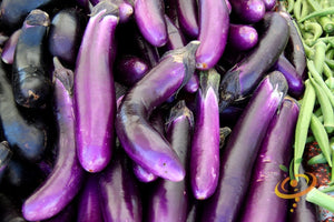 Eggplant - Long Purple Italian.