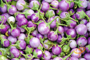 Eggplant - Round Mauve.