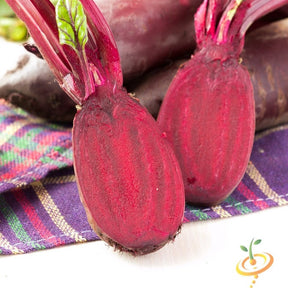 Beet Cylindra seeds from SeedsNow, showing small dark seeds suitable for planting in garden or farm soil.