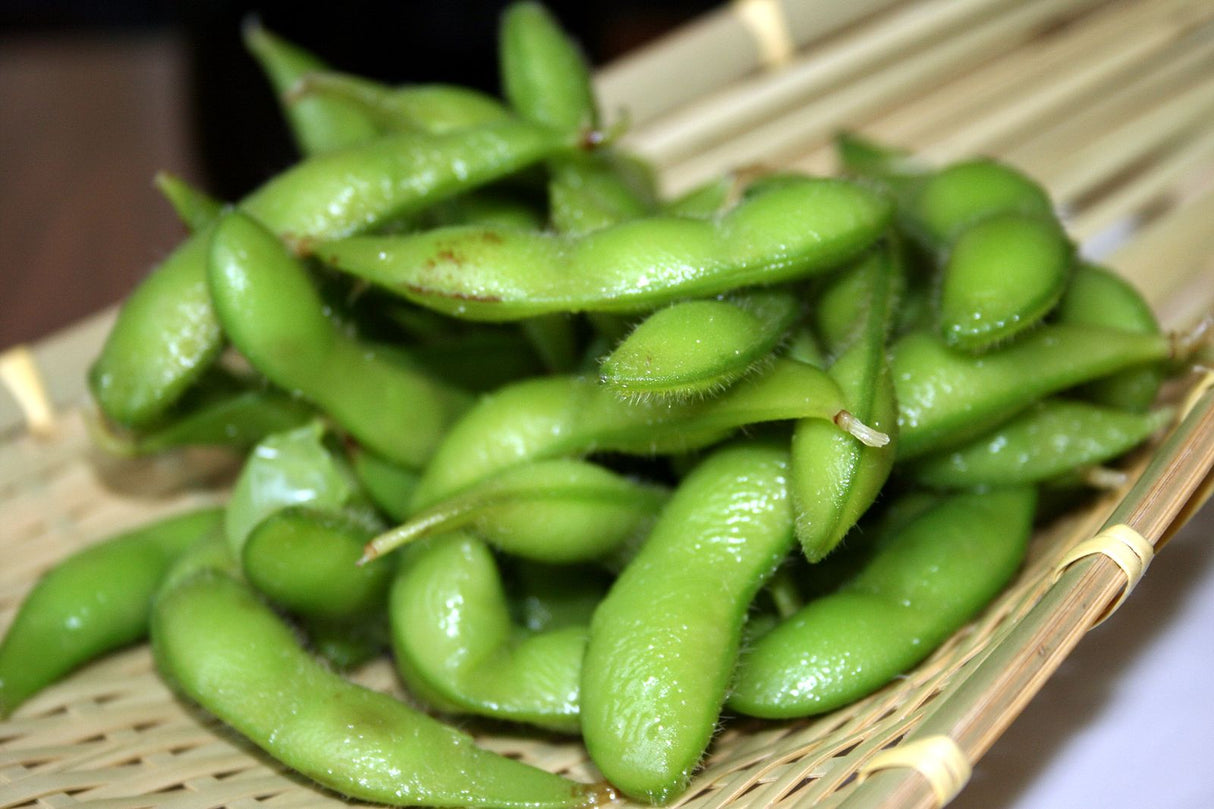 Bean, Bush - Edamame Midori Giant (Soy Bean) - SeedsNow.com