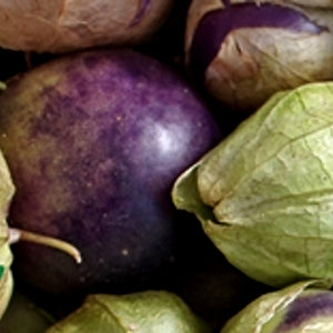 Purple tomatillo seeds from SeedsNow, showing small, vibrant purple seeds ideal for planting and growing tomatillo plants.